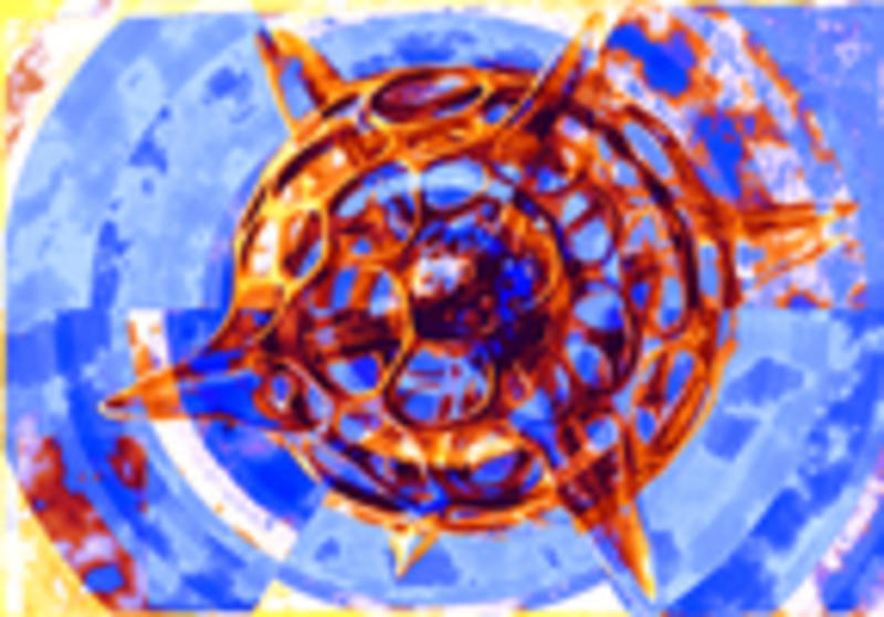 Klicken zum Vergrößern Chigallo: The new old System of Symbiotica