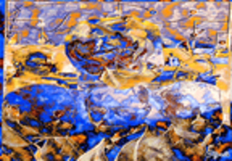 Klicken zum Vergrößern Chigallo: Kompasse in einem großen Feld